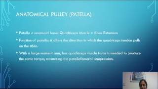 The Role of Physics Levers and Pulleys in Human Body [upl. by Nerraf]