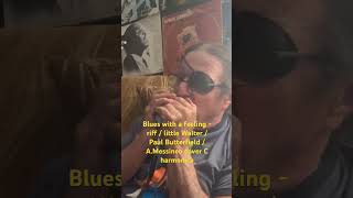 BlueswithaFeeling HarmonicaRiff blues Charmonica hohnerspecialtwenty [upl. by Hctud]