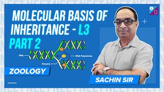 DNA Replication  Molecular Basis of Inheritance Class 12 Biology P2 Zoology  NEET 2023 Exam [upl. by Talie28]