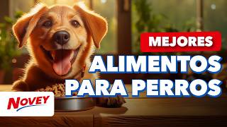 ¿Qué alimento para perros es mejor Según su edad 🐶🐾 Novey Tips [upl. by Wyatan]