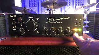 Is this the BEST Bass Guitar amp EVER [upl. by Nosyrb]