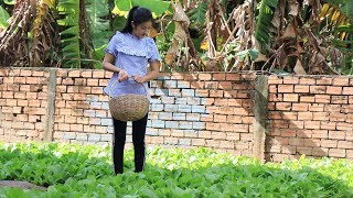 Green Vegetable Garden  Mustard Green with Gefilte Fish Recipe  Prepare By countryside life TV [upl. by Randie]