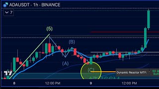 CARDANO is turning on [upl. by Beuthel]