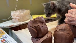 Kitten wedging clay [upl. by Dranal829]