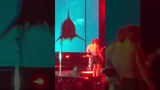 Sharks imagine dragons imaginedragons concert awesome imagine dragons [upl. by Veronika288]