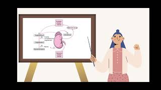 RENINAANGIOTENSINAALDOSTERONA EXPLICACION FACIL EN CINCO MINUTOS 😱😱😱 [upl. by Pesek]
