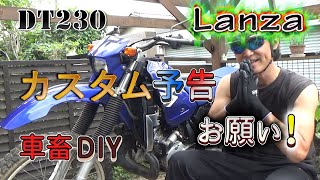 ランツァのカスタム！モタード？林道？オススメ教えてください  YAMAHA DT230 LANZA [upl. by Rafaelita749]