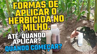 COMO USAR OS HERBICIDAS NO MILHO ATÉ QUANDO USAR QUANDO COMEÇAR APLICAR [upl. by Elay]