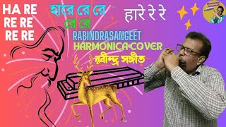 हारे रे रे  Hare Re Re  হা রে রে রে। Rabindra Sangeet  on Harmonica rabindrasangeet harerere [upl. by Jorrie33]