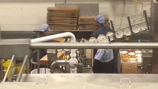 AN INSIDE LOOK AT THE BLUE BELL ICE CREAM FACTORY [upl. by Sirroned]