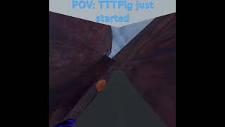 POV TTTPig just started playing gorilla tag TTTPig [upl. by Odnam96]