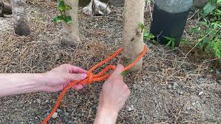 【多用禁止】急いで柱に『もやい結び』を作成する動画【Bowline knot】 [upl. by Dupre]