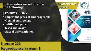 Genes of embryogenesis  Genital embryology  Indifferent gonad  Sexual differentiation [upl. by Georg856]