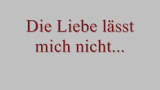 Silbermond  Die Liebe lässt mich nicht Lyrics [upl. by Aysahc606]