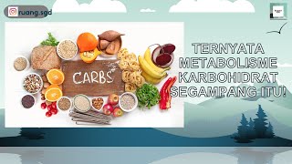 DARI GLIKOLISIS SAMPE SIKLUS KREBS LENGKAP  METABOLISME KARBOHIDRAT PART 3 [upl. by Macpherson]