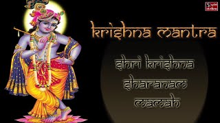 Shri Krishna Sharanam Mamah  Beautiful Krishna Mantra  Niranjan Pandya [upl. by Dnaltiak254]