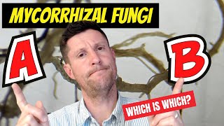 Mycorrhizal Fungi  Know what type you need in your garden [upl. by Ivets]