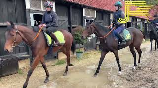 Newmarket Gallops 211023  Julia Feilden Racing [upl. by Laurent]