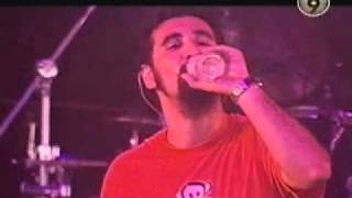 System of a Down  Live at Lowlands  Holland 2001 [upl. by Dareen]