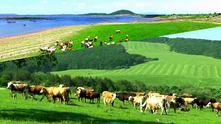 South Moravian Region  Czech Republic HD1080p [upl. by Nylesoj964]