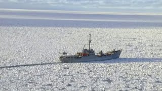 La Antártica Un Continente Sin Fronteras [upl. by Neret]