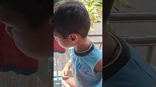 Panchi Nadiya Pawan Ke Jhonkeshortsviral cutebaby [upl. by Adnaloj]