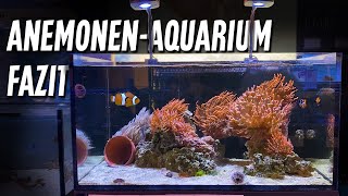 Fazit zum ANEMONENAQUARIUM  PlanktonPlus Aquaristik [upl. by Nerreg814]