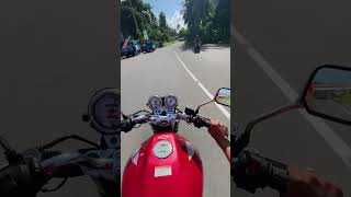 Honda Hornet 250 Thrills on the Road 🏍️💨 [upl. by Zohar340]