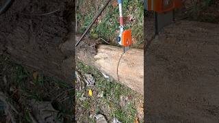 pole chainsaw using havy duty chainsaw short woodworking skills smart [upl. by Iretak]