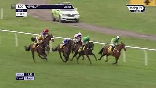 Newbury Highlights  DENMAN CHASE [upl. by Omarr706]