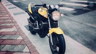 Honda hornet 250 best exhaust sound [upl. by Nassi]