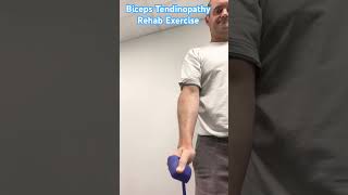 Bicep Tendinopathy Rehab Exercise bicepstendonrehab [upl. by Margalo]