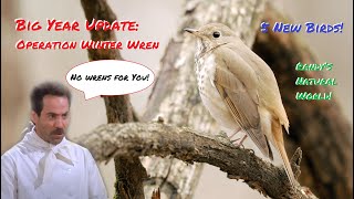 Big Year Update Operation Winter Wren [upl. by Blackwell]