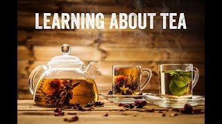 Understanding Tea with Don Mei [upl. by Acimad]