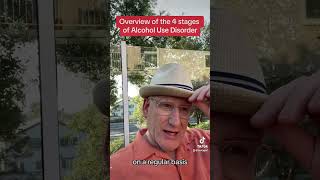 Overview of the 4 stages of Alcohol Use Disorder [upl. by Seidel]