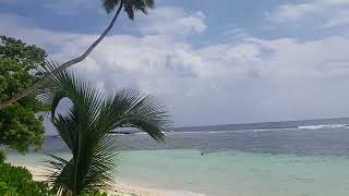 La plage dAnse Forbans aux Seychelles [upl. by Arreyt224]