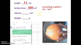 Skill Video Estimating and Measuring [upl. by Kcirddet669]