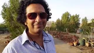 Urban Forest in Karachi with Shahzad Qureshi [upl. by Loesceke]