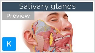 disease of salivary gland part 1  neet mds [upl. by Oad]