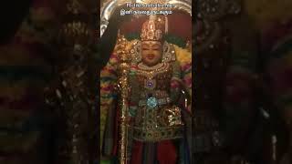 palani murugan murugan kumaranraja alangaram [upl. by Neom]