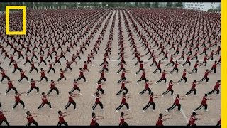 36000 Kids You Don’t Want to Mess With  Short Film Showcase [upl. by Wallach440]