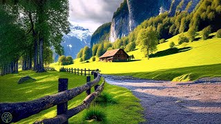 Relaxing Music With Beautiful Nature Videos 🍀 Reduce Stress Anxiety amp Depression 🌿 Soul Healing [upl. by Larrej]