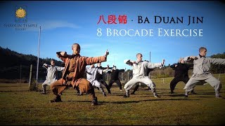 八段锦 · Ba Duan Jin 8 Brocade Exercise Qi Gong [upl. by Sundstrom]