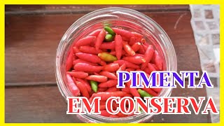 COMO FAZER CONSERVA DE PIMENTA [upl. by Jeffcott831]