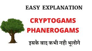 Cryptogams And Phanerogams Easy Explaination [upl. by Solange]