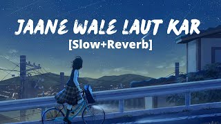 Jaane Wale Laut Kar SlowReverb B Praak Payal Dev  Sad Song 2022  Melolit [upl. by Valdemar]