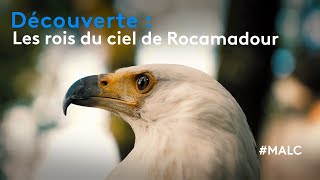 Découverte  les rois du ciel de Rocamadour [upl. by Truman]