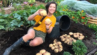 How to Grow Potatoes in Pots  Homegrown Garden [upl. by Ecinom102]