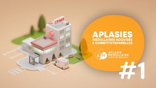 🏥 1 Centre de Référence Maladies Rares Aplasies médullaires acquises et constitutionnelles [upl. by Campbell]