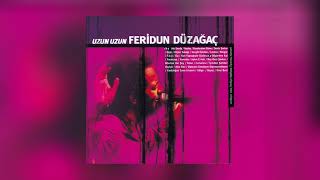 Feridun Düzağaç  Düşler Sokağı Uzun Uzun Official Audio [upl. by Gitlow299]